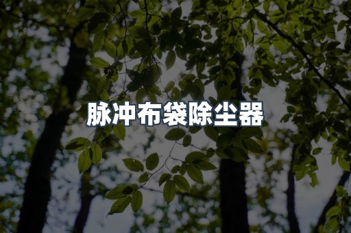 脉冲布袋除尘器